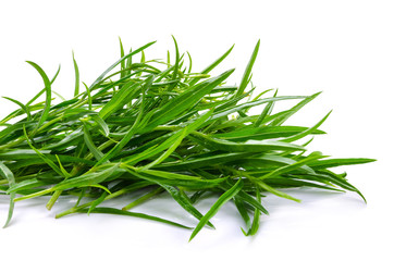 Tarragon herbs close up isolated on white