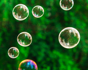 Soap bubble flying Blur bokeh background