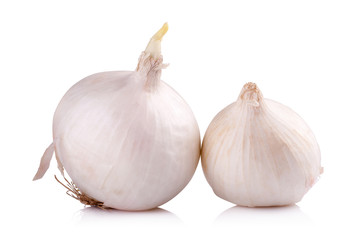 white onion isolated on white background