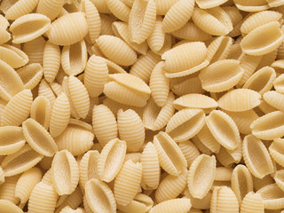 italian uncooked gnocchetti sardi pasta food background