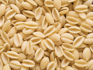italian uncooked gnocchetti sardi pasta food background