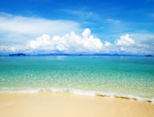 Fototapeta premium beach and tropical sea