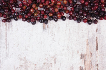 Autumn fresh elderberry and copy space for text on old wooden background