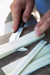 The working of Papyrus in Syracuse: an artisan is obtaining thin strips from the stem of the plant using a particular knife