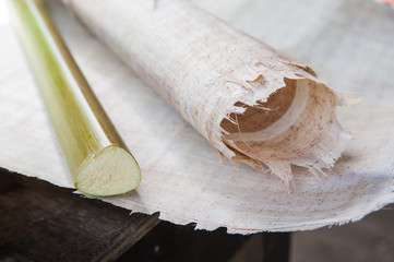 Rolled papyrus paper and the stem of the plant laid on a papyrus layer