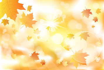 Naklejka na ściany i meble Autumn Maple Leaves Abstract Orange Background