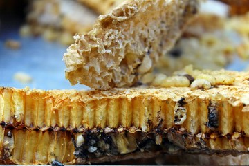 Nature honey comb / Raw nature yellow honey comb 