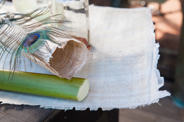 Rolled papyrus paper, quill pen and a section of the plant laid on a papyrus layer