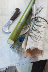Rolled papyrus paper, quill pen, a section of the plant and the typical knife laid on a papyrus...