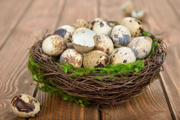 Quail eggs