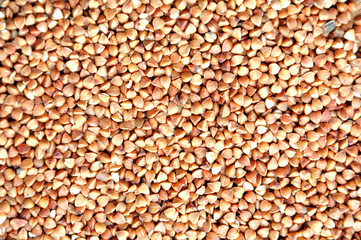 Buckwheat as background