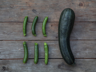 <la <più

La più grande zucchina
