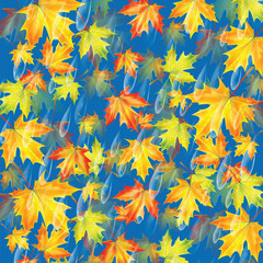 Autumn background.Background with rain drops and maple leaves