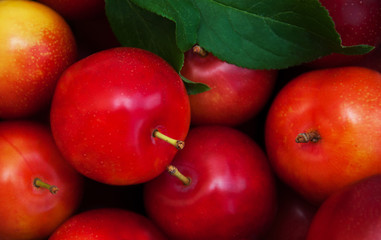 Fresh plums