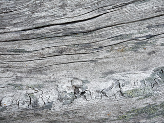 Holzstruktur
