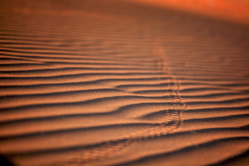 Sand of Sossusvlei dunes, Namib desert, Namibia