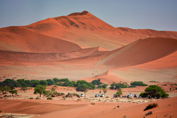 Fototapeta na wymiar The oasis in the Namid Desert