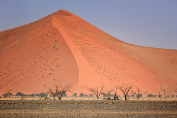Fototapeta na wymiar Sand Dunes in the Namib Desert, Africa