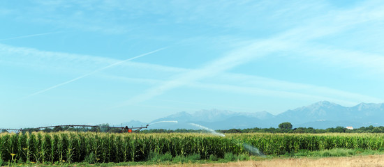 Obraz premium irrigation en plaine orientale de Corse