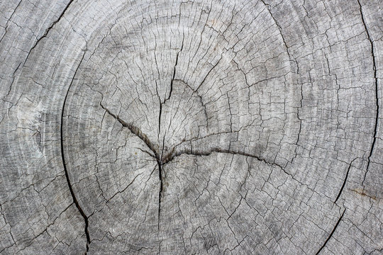 old wood texture