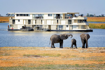 Tourists watching elephants on Chobe river