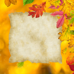 Naklejka na ściany i meble Colorful autumnal background with leaves