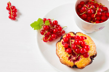Delicious cake with red currant on a plate