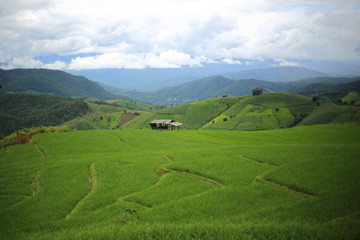 Fototapeta na wymiar Rice terraces in Mae Chaem at Thailand