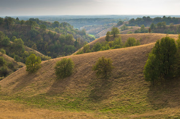 Landscape of hills covered with yellow grass at autumn afternoon