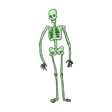 cartoon spooky skeleton