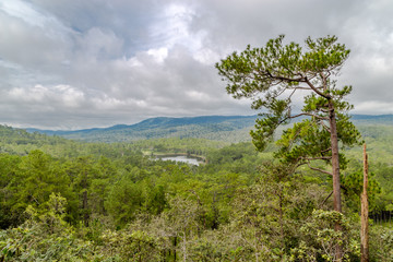 Top of Kirirom mountain 