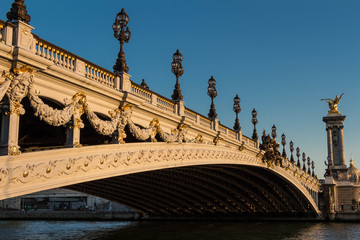 Fototapeta na wymiar The bridge of Alexandre III, Paris, France