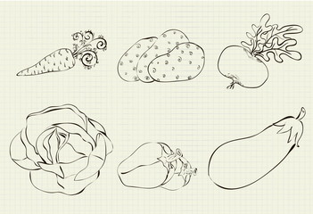 drawing of six vegetables on a sheet of student notebooks