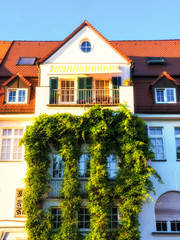 Wohnhaus mit Efeu