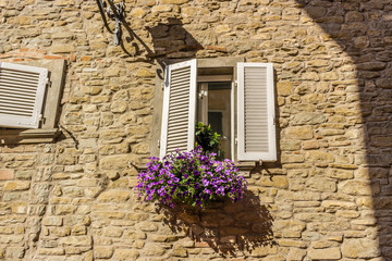 Fototapeta na wymiar window with white shutters and fuchsia petunias