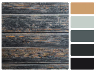 colour palette swatch