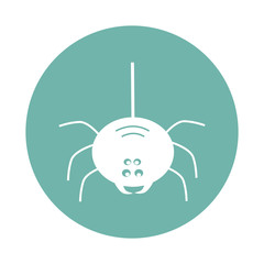 Spider icon