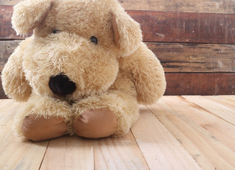 Cute dog toy  with old wood background