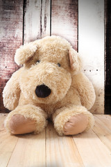 Cute dog toy  with old wood background