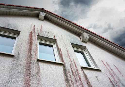 Haus Wetterseite mit Rotalgenbefall – Hausfassade Algen Pilze Hauswand Pilzbefall Algenbefall