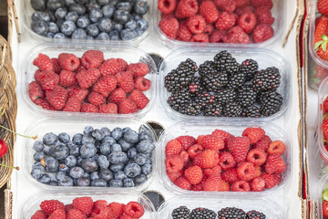 Frische Blaubeeren, Himbeeren und Brombeeren auf einem Markt in Italien