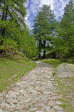 Monutain path