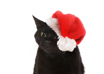 Black Cat Santa - cute Christmas Cat, Christmas Pet with Santa C