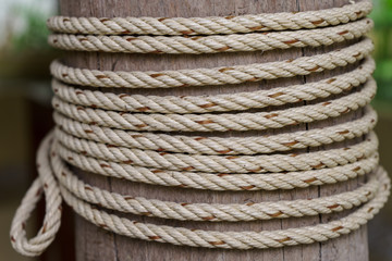 Rope tied to a wooden pole