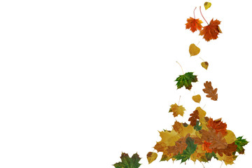 Herbstblätter