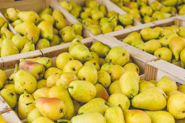 Fresh Bartlett pears on display at the farmer's market