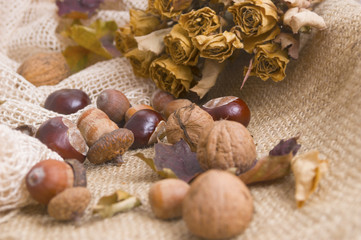 Mixed, typical in autumn fruits background
