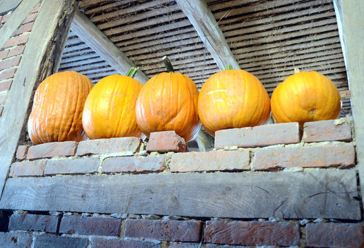 Herbstdekoration K&uuml;rbisse