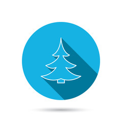 Christmas fir tree icon. Spruce sign.