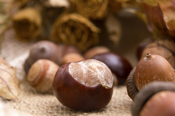 Chestnut and other fruits in the background
